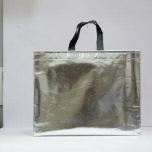 Silver BOPP Metallic Box Bag