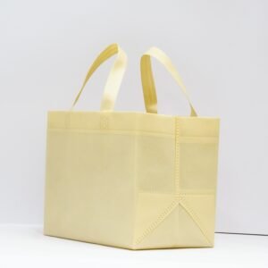 Ivory Non Woven Box Bag